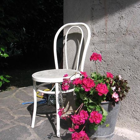 B&B Bosco Fiorito Malgesso Bagian luar foto