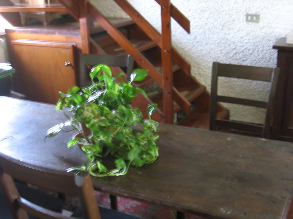 B&B Bosco Fiorito Malgesso Bagian luar foto