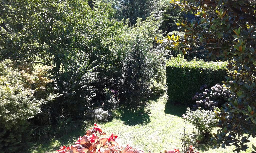 B&B Bosco Fiorito Malgesso Bagian luar foto